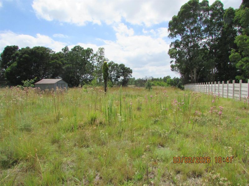 2.5HA SMALL HOLDING FOR SALE BRONKHORSTSPRUIT - Photo 9