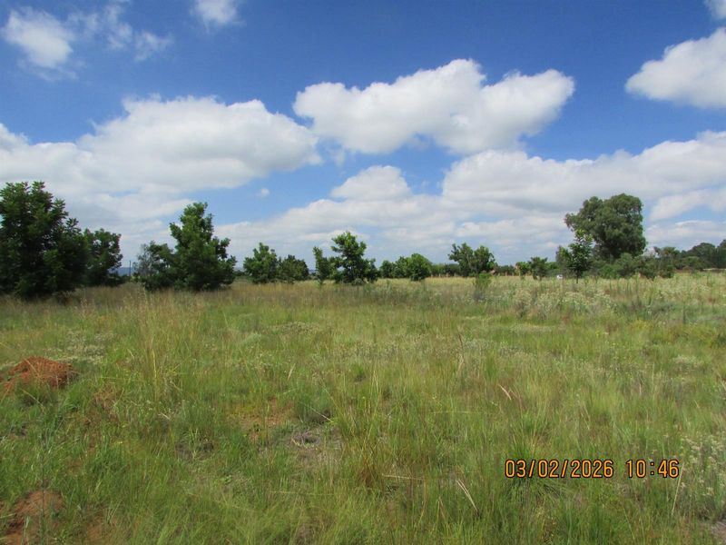 2.5HA SMALL HOLDING FOR SALE BRONKHORSTSPRUIT - Photo 7