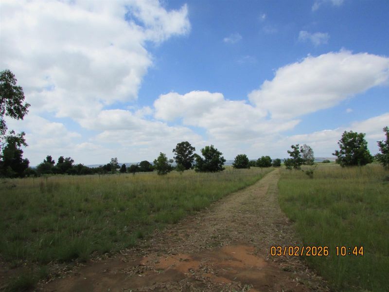 2.5HA SMALL HOLDING FOR SALE BRONKHORSTSPRUIT - Photo 5
