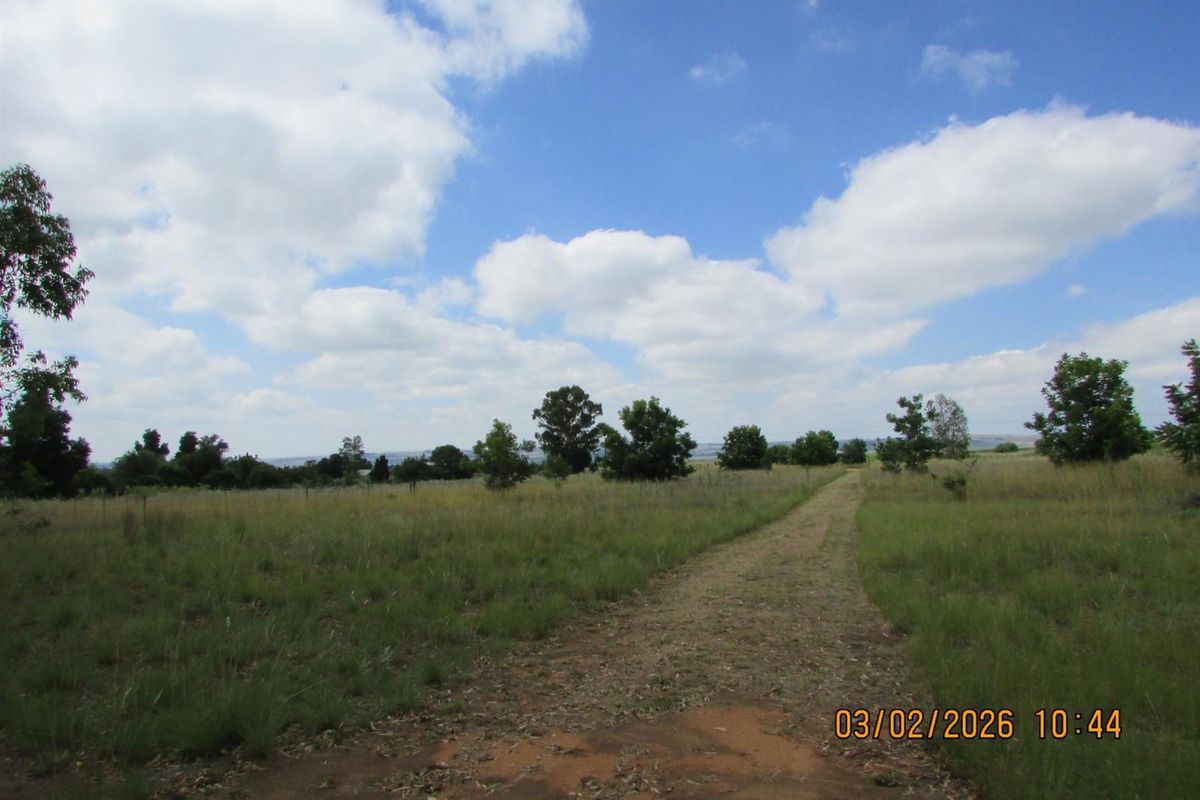2.5HA SMALL HOLDING FOR SALE BRONKHORSTSPRUIT - Photo 5