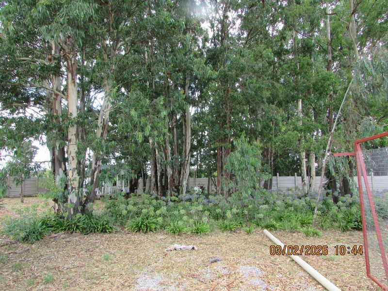 2.5HA SMALL HOLDING FOR SALE BRONKHORSTSPRUIT - Photo 3