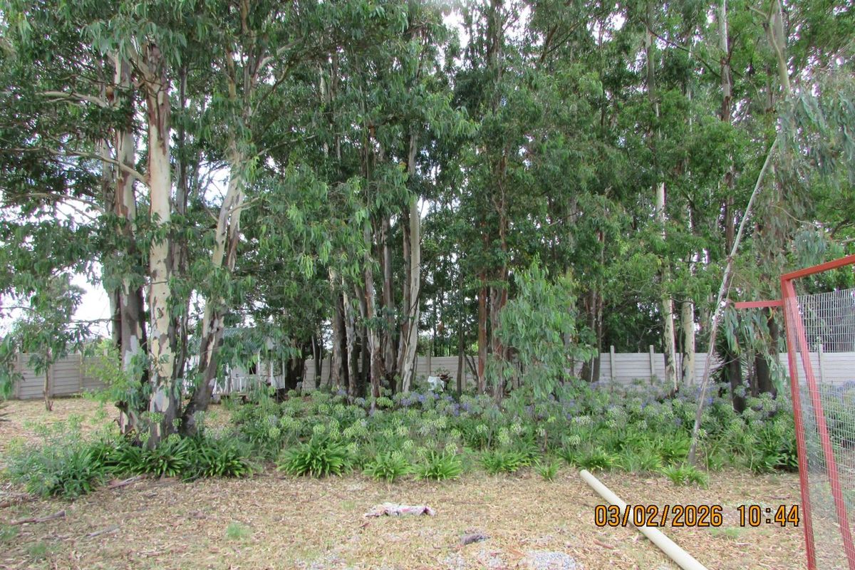 2.5HA SMALL HOLDING FOR SALE BRONKHORSTSPRUIT - Photo 3