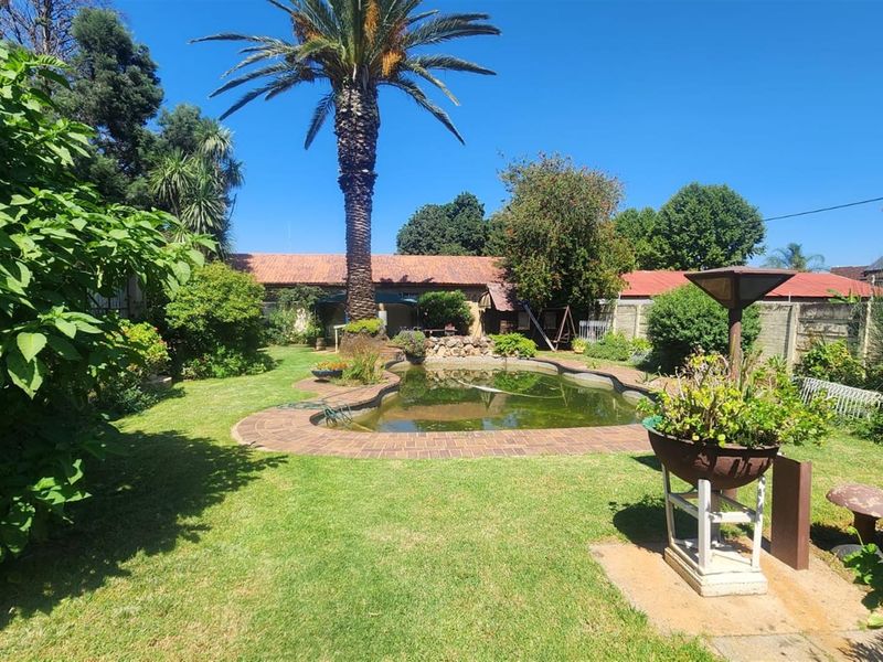 A spacious rear garden featuring a swimming pool, established palm tree, and mature landscaping, providing a private outdoor retreat.