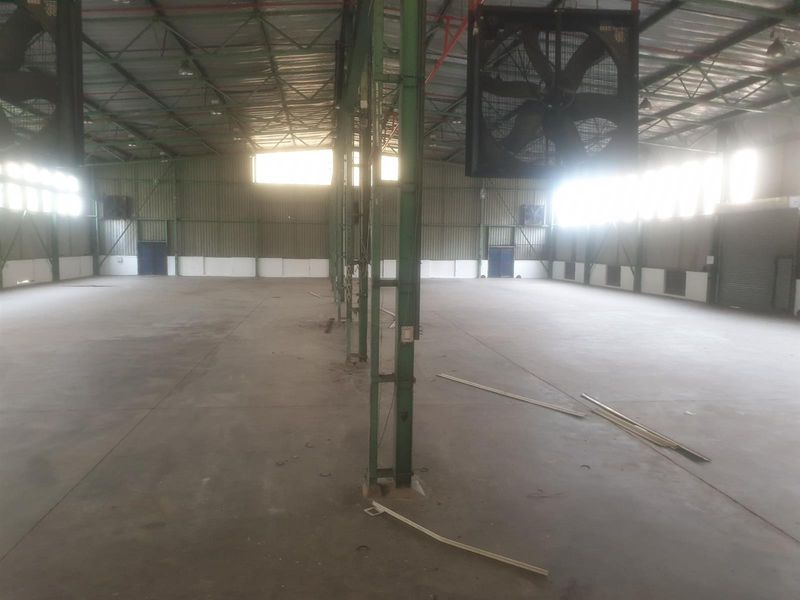 Warehouse To Rent in Prospecton Industrial, Isipingo, KwaZulu Natal - Photo 3