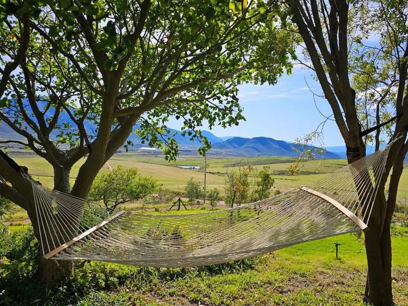 Spacious Elegant Home with Magnificent Views - Photo 7