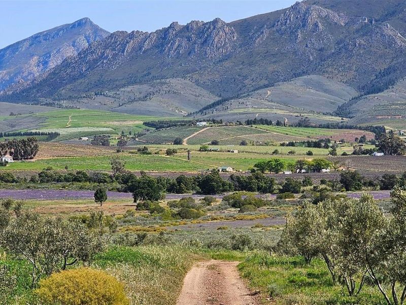 Spacious Elegant Home with Magnificent Views - Photo 9