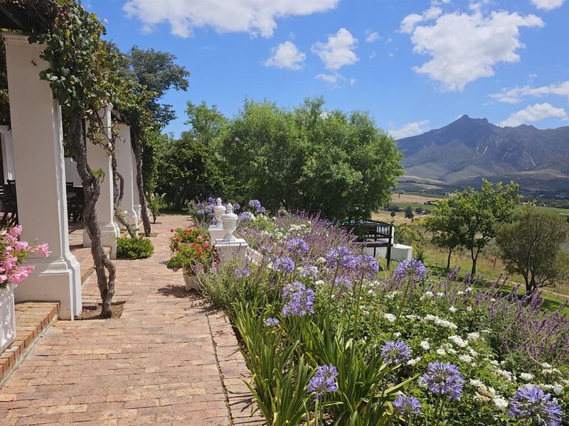 Spacious Elegant Home with Magnificent Views - Photo 5