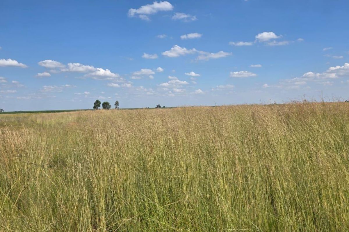 Vacant Land For Sale in Cilvale AH, Bronkhorstspruit - Photo 4