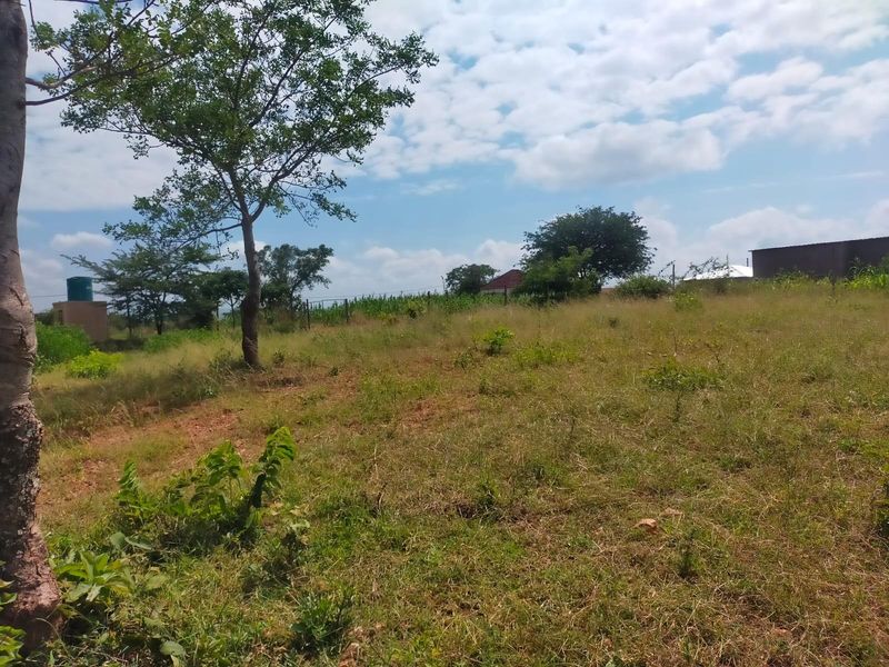 Vacant Land For Sale in Dididi, Thohoyandou Rural - Photo 8
