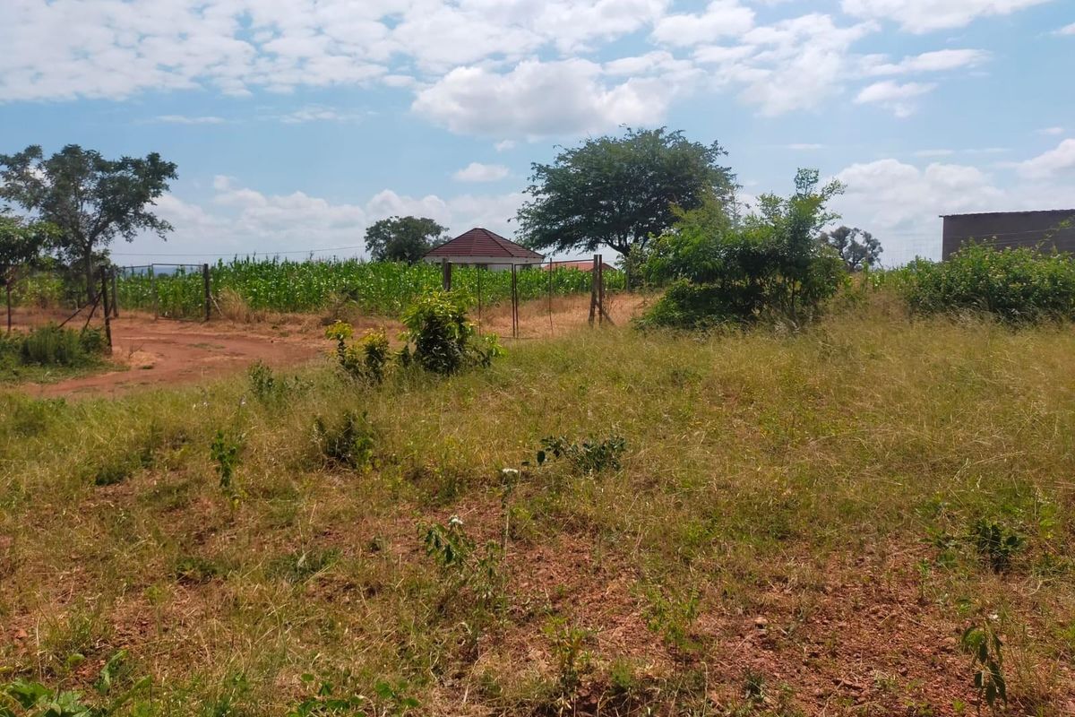 Vacant Land For Sale in Dididi, Thohoyandou Rural - Photo 5