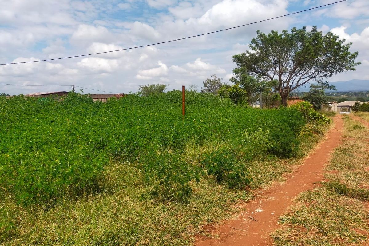 Vacant Land For Sale in Dididi, Thohoyandou Rural - Photo 3