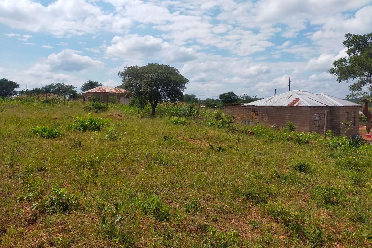 A view of a residential plot featuring existing structures with metal roofing, surrounded by natural vegetation and open land.