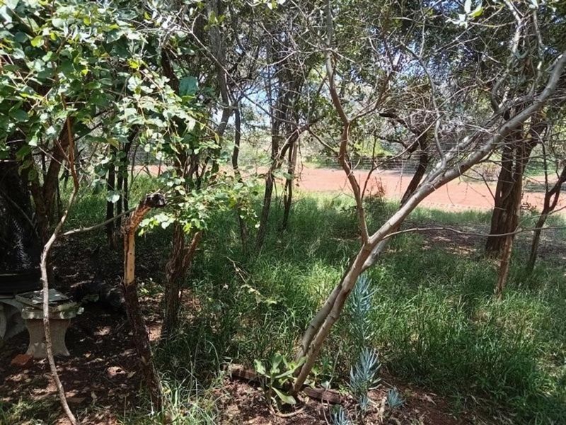 House For Sale in Negester Klein-Kariba, Bela Bela - Photo 6