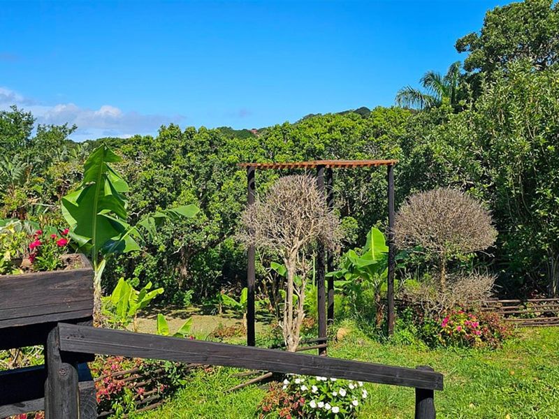 Tranquil Paradise 4 Bedroom Renovated House - Photo 9