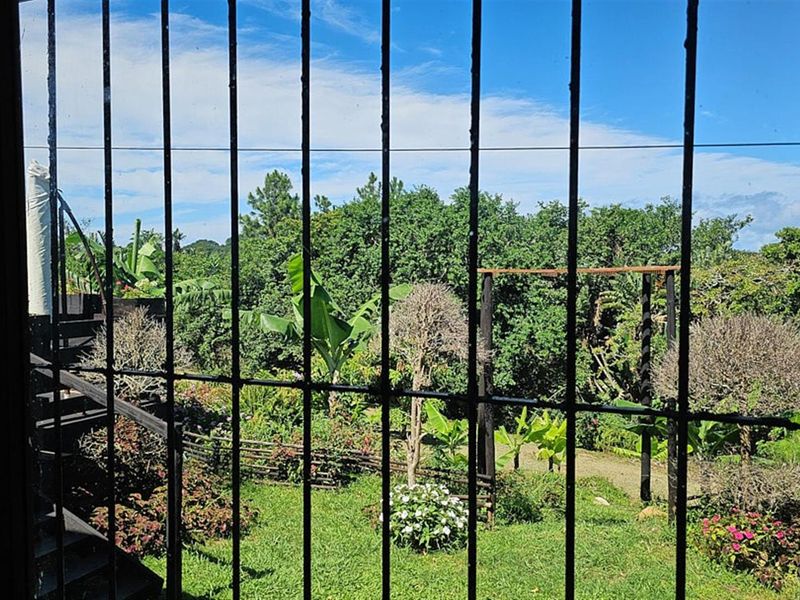 Tranquil Paradise 4 Bedroom Renovated House - Photo 8