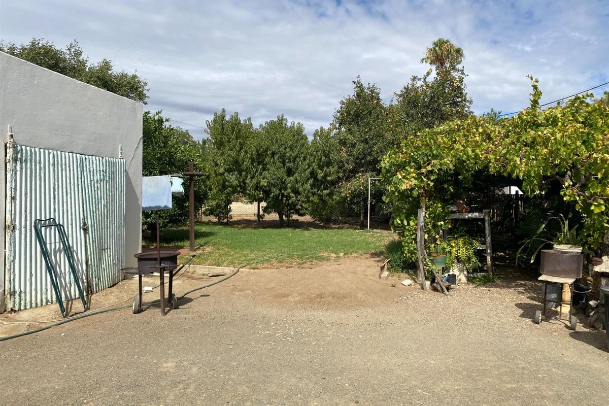 A spacious rear garden area featuring a gravel yard, lawn, mature trees, and a vine-covered pergola structure adjacent to a corrugated metal outbuilding.