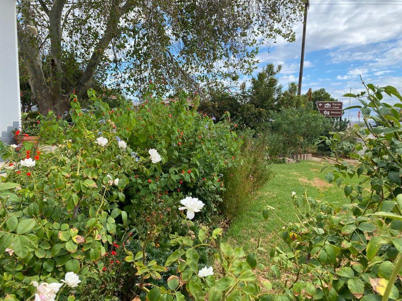 Corner Stand Opportunity with Swartberg Views in Prince Albert - Photo 2