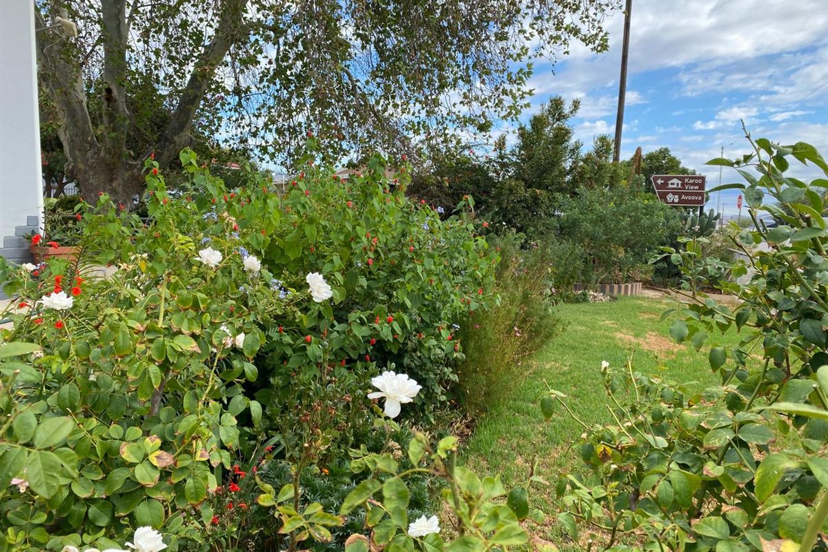 Corner Stand Opportunity with Swartberg Views in Prince Albert - Photo 2