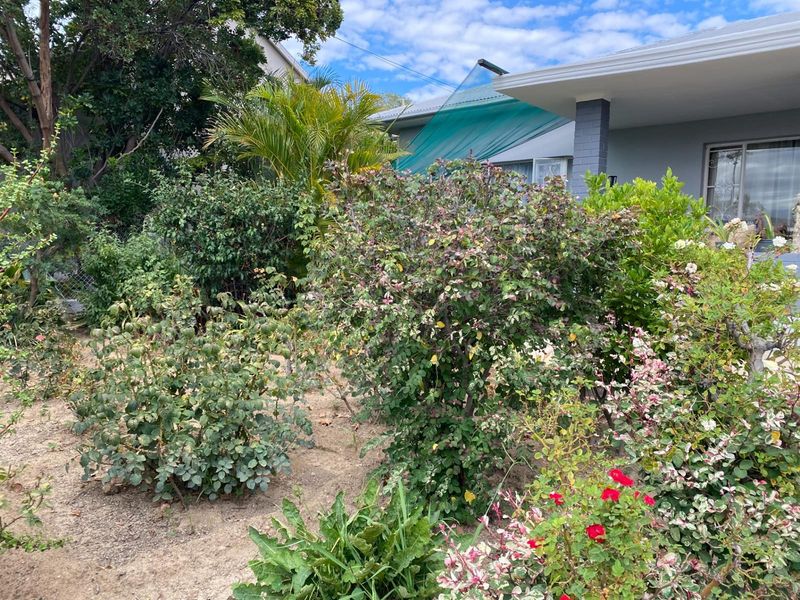 Corner Stand Opportunity with Swartberg Views in Prince Albert - Photo 3