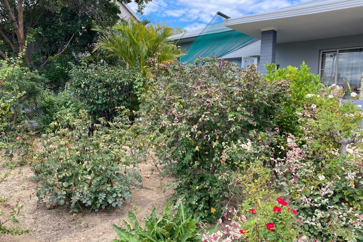 Corner Stand Opportunity with Swartberg Views in Prince Albert - Photo 3