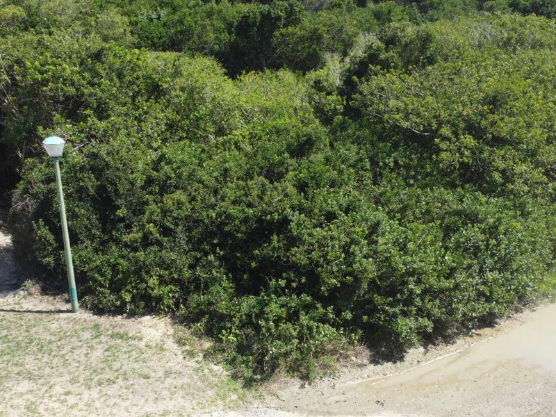An aerial view of a vacant residential plot featuring dense natural vegetation and a street lamp.