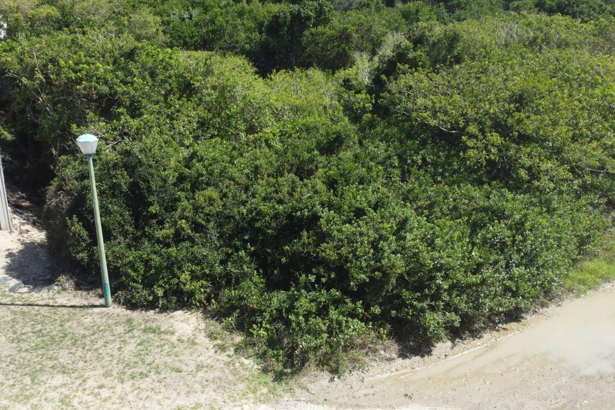 An aerial view of a vacant residential plot featuring dense natural vegetation and a street lamp.
