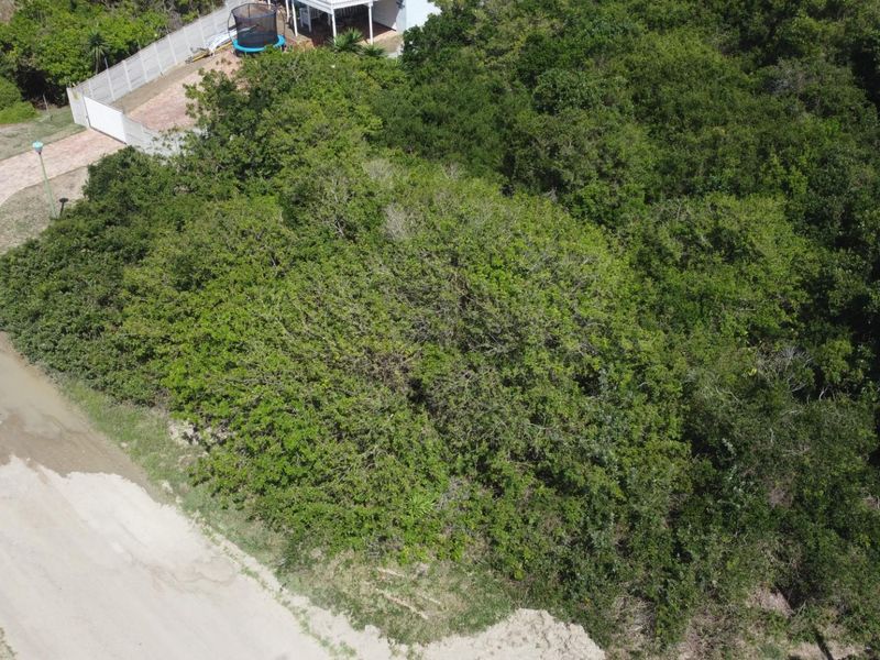 Aerial view of a vacant residential plot densely covered with indigenous vegetation, adjacent to a gravel road and existing residential properties.