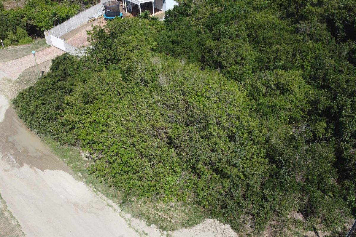 Aerial view of a vacant residential plot densely covered with indigenous vegetation, adjacent to a gravel road and existing residential properties.