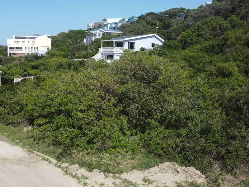 An elevated view of a vacant residential plot covered in dense indigenous vegetation, situated in a coastal hillside neighborhood.