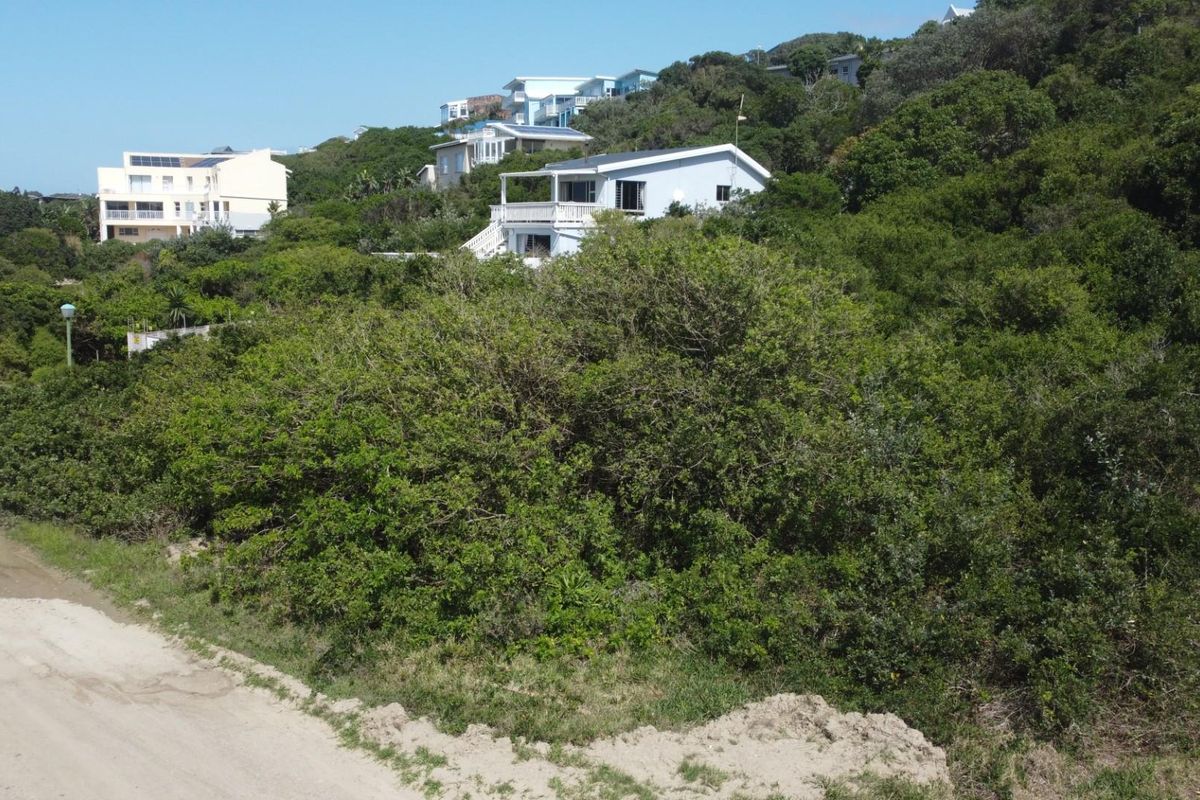 An elevated view of a vacant residential plot covered in dense indigenous vegetation, situated in a coastal hillside neighborhood.