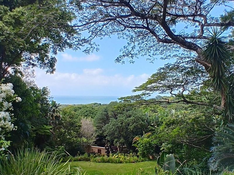 House For Sale in Mtunzini, KwaZulu Natal - Photo 8