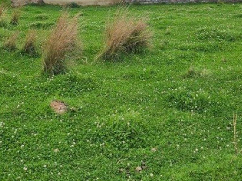 Vacant Land For Sale in Utrecht, KwaZulu Natal - Photo 3