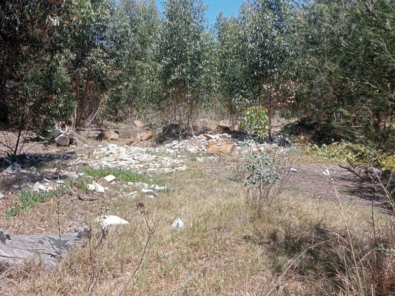 A view of the vacant residential land featuring natural vegetation and scattered debris on the ground.
