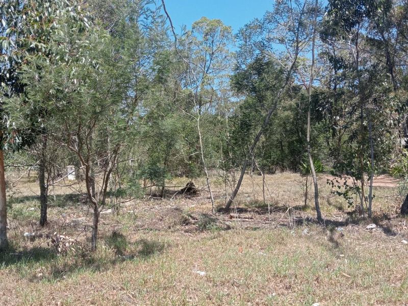 A view of a vacant residential plot featuring established native trees and natural ground cover, suitable for future development.
