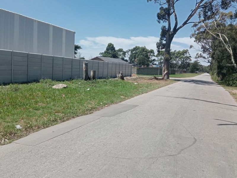 A street view of the residential land, featuring a paved road, concrete boundary wall, and mature trees along the property perimeter.