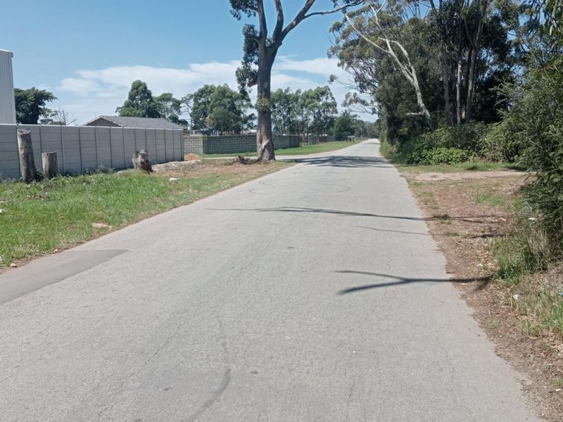 A view of the paved street approach leading towards the residential vacant land, featuring mature trees and perimeter boundary walling.