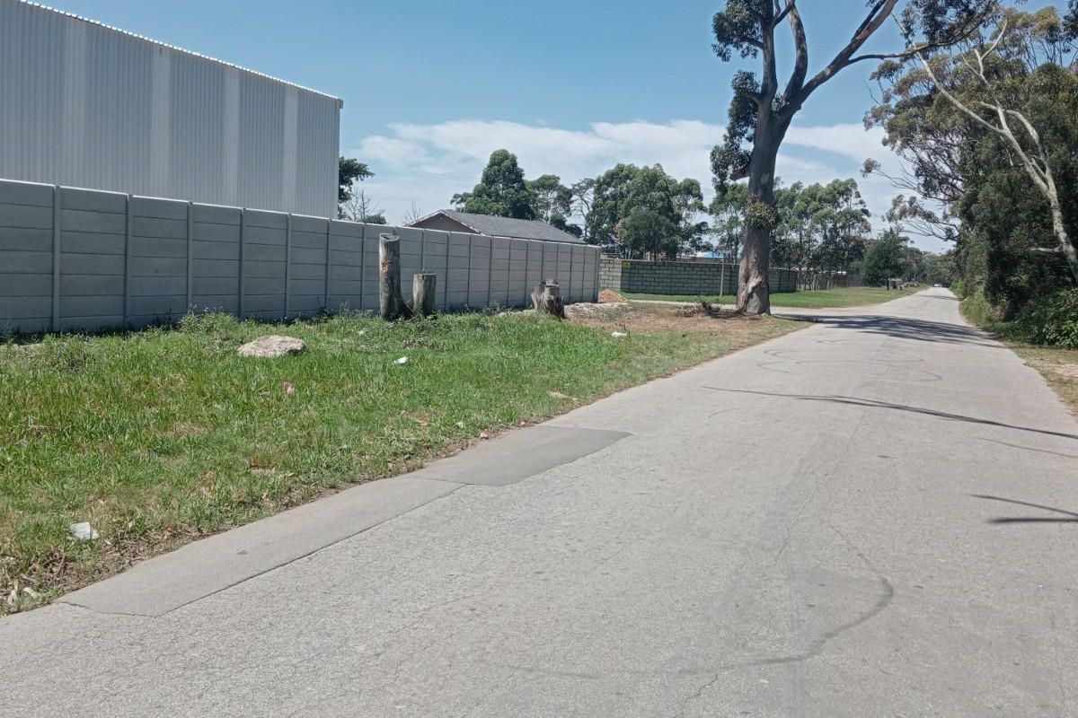 A street view of the residential land, featuring a paved road, concrete boundary wall, and mature trees along the property perimeter.