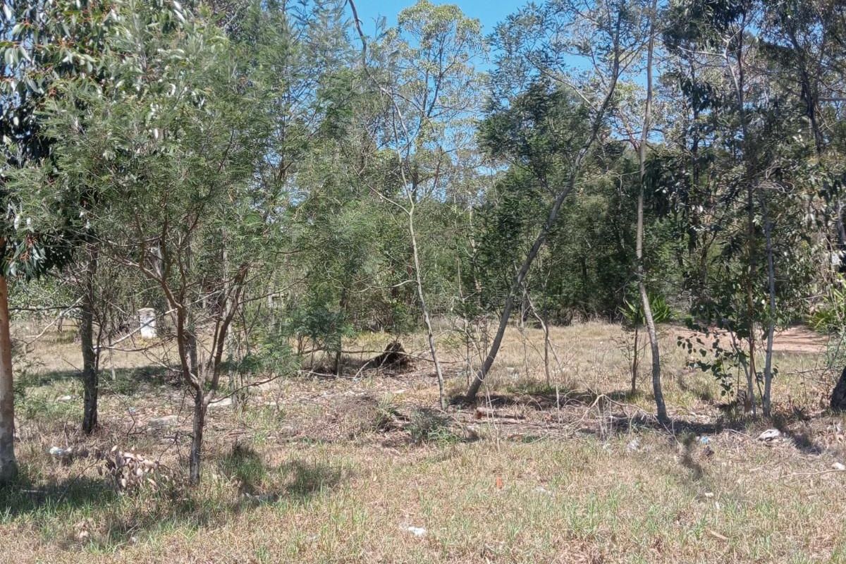 A view of a vacant residential plot featuring established native trees and natural ground cover, suitable for future development.