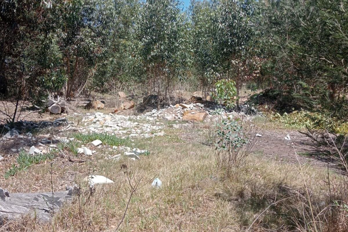 A view of the vacant residential land featuring natural vegetation and scattered debris on the ground.