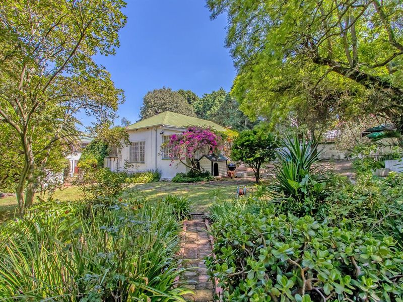 Multi-dwelling property with three dwellings, pool, games room and generator set within mature trees - Photo 6