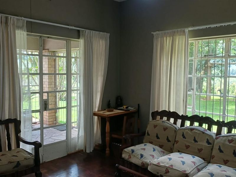 8.565Ha Smallholding with Maluma Avocados, Borehole, Outbuildings and Beautiful Family Home - Photo 9