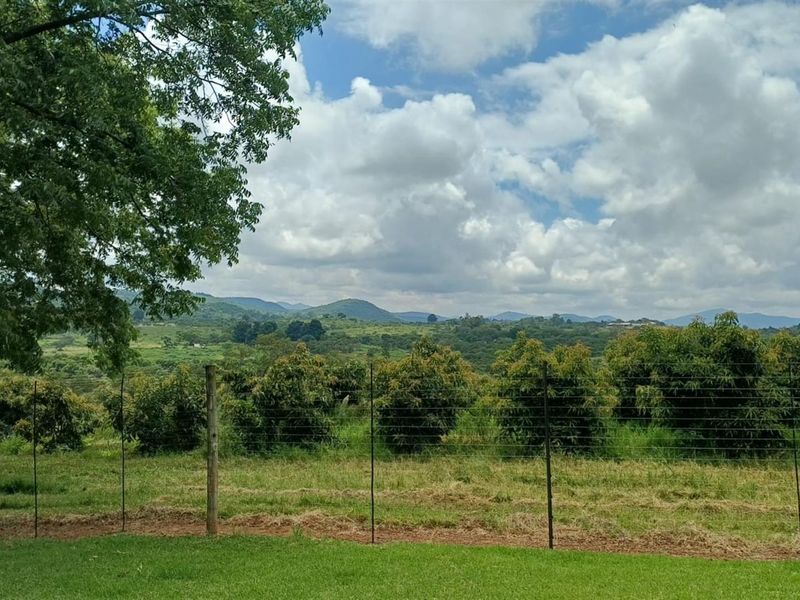 8.565Ha Smallholding with Maluma Avocados, Borehole, Outbuildings and Beautiful Family Home - Photo 5