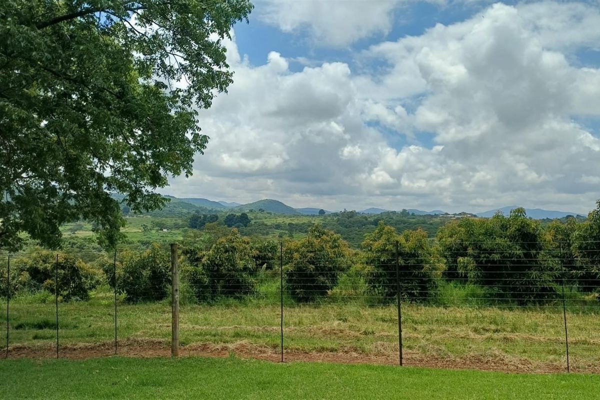 8.565Ha Smallholding with Maluma Avocados, Borehole, Outbuildings and Beautiful Family Home - Photo 5