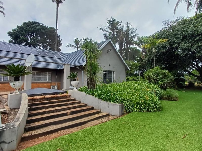 8.565Ha Smallholding with Maluma Avocados, Borehole, Outbuildings and Beautiful Family Home - Photo 3