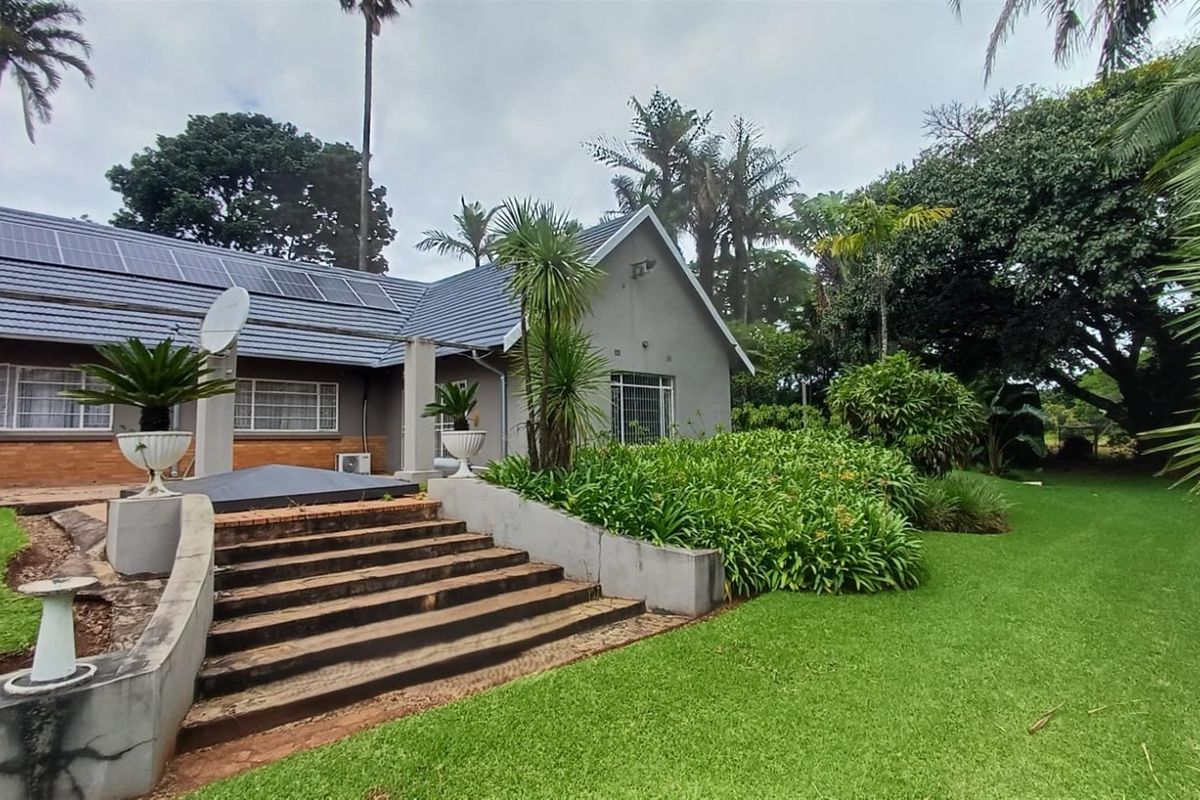 8.565Ha Smallholding with Maluma Avocados, Borehole, Outbuildings and Beautiful Family Home - Photo 3