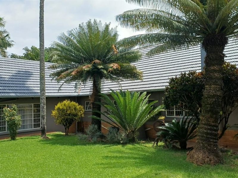 8.565Ha Smallholding with Maluma Avocados, Borehole, Outbuildings and Beautiful Family Home - Photo 4