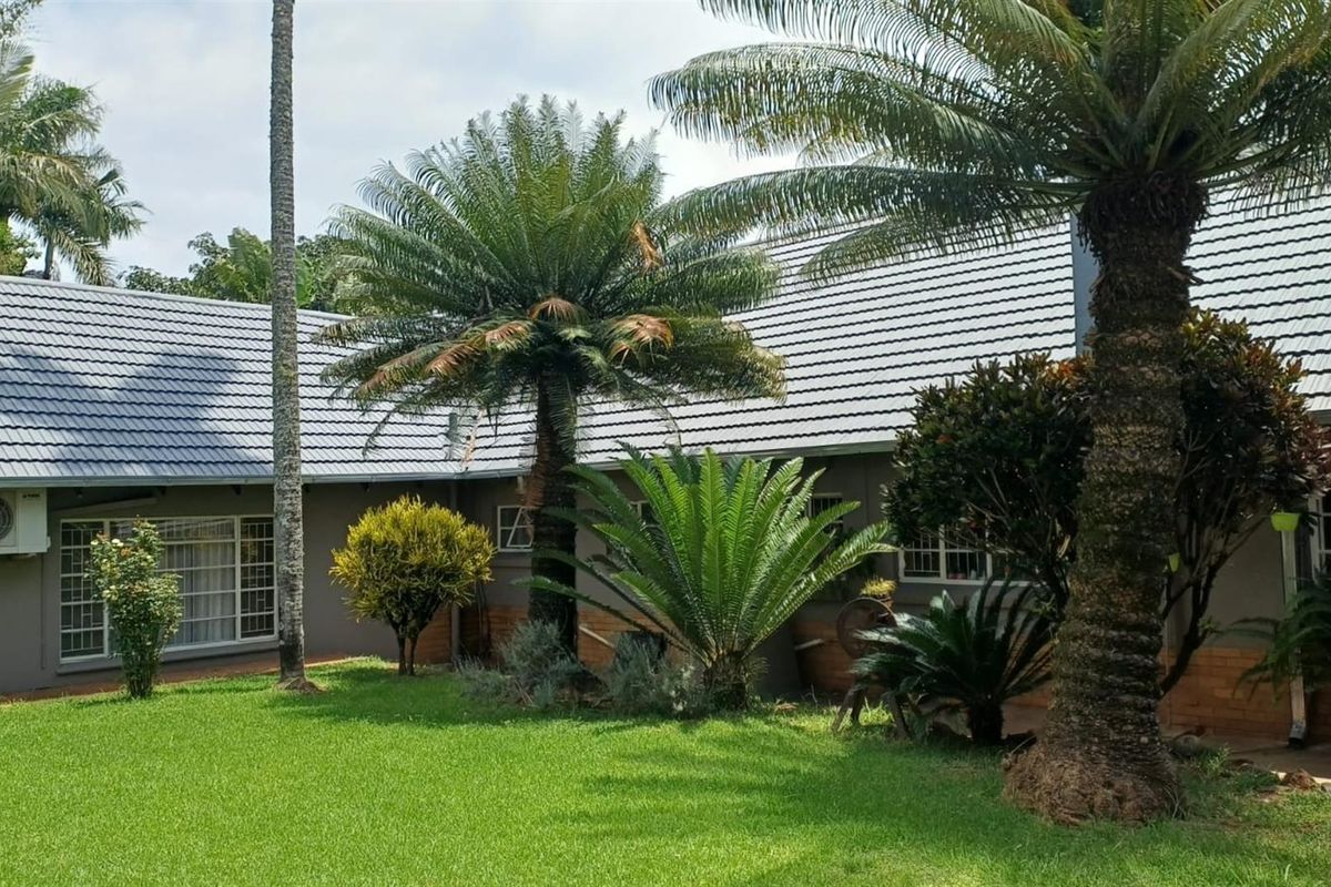 8.565Ha Smallholding with Maluma Avocados, Borehole, Outbuildings and Beautiful Family Home - Photo 4