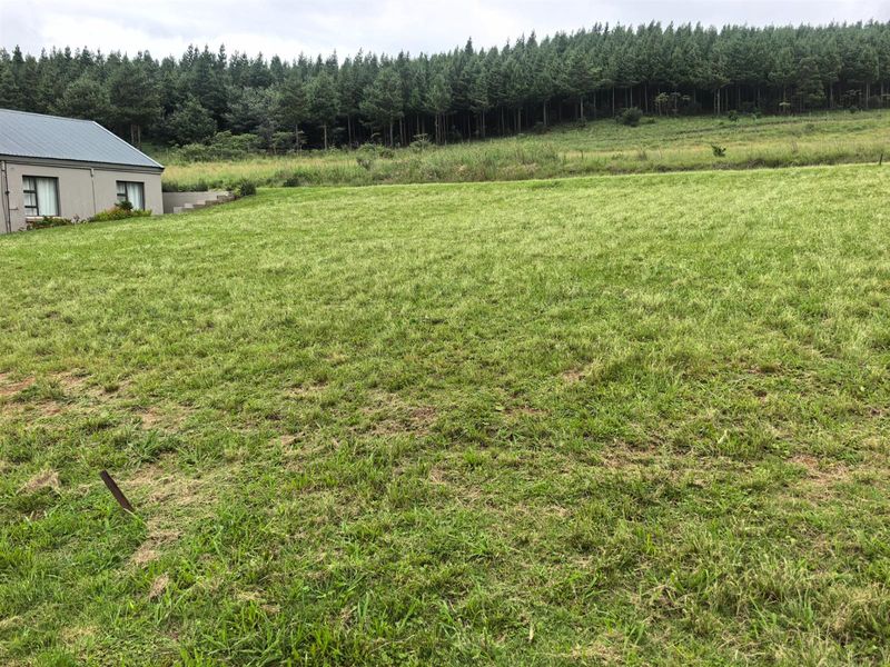 VACANT LAND IN VULINTABA COUNTRY ESTATE - Photo 3