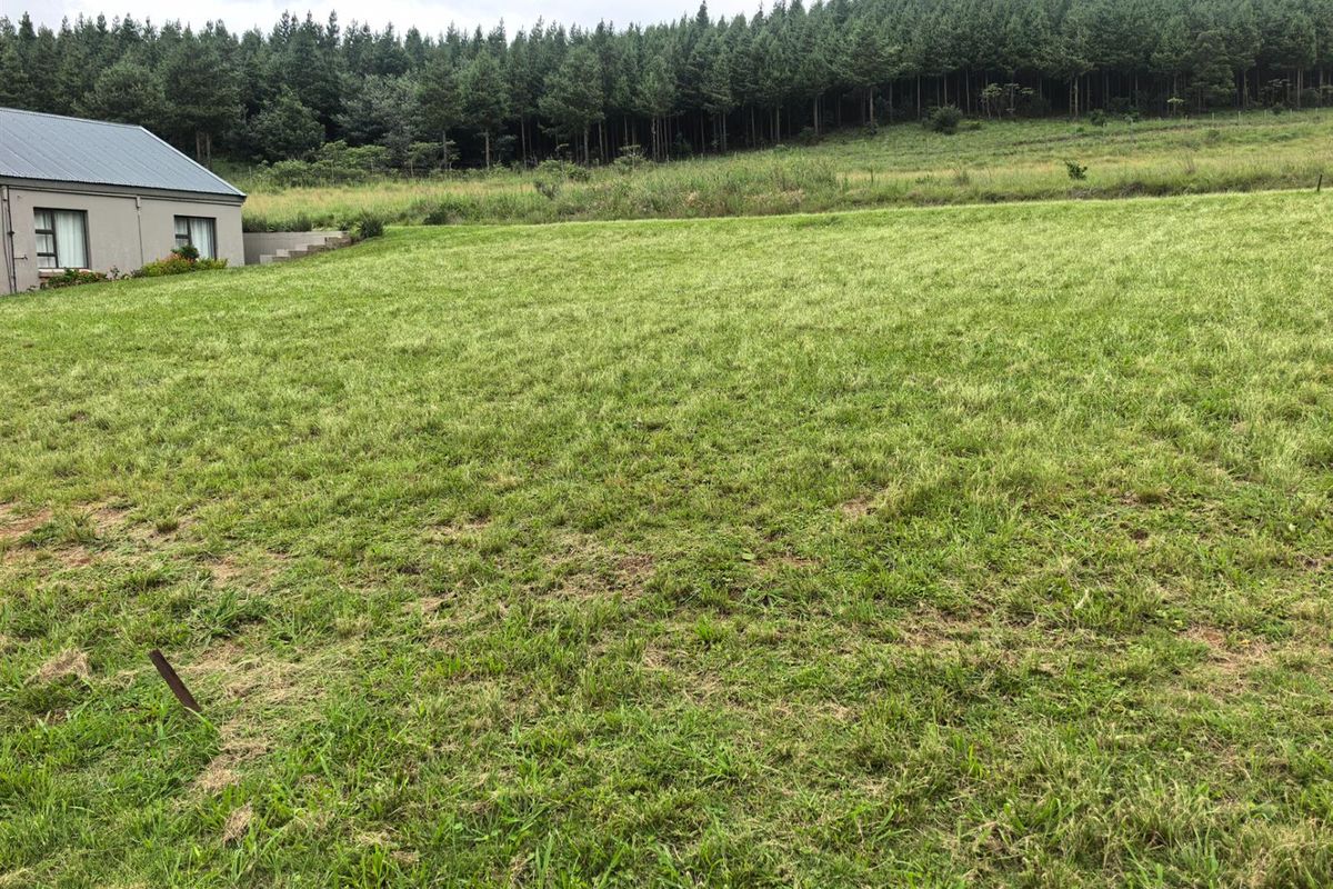 VACANT LAND IN VULINTABA COUNTRY ESTATE - Photo 3