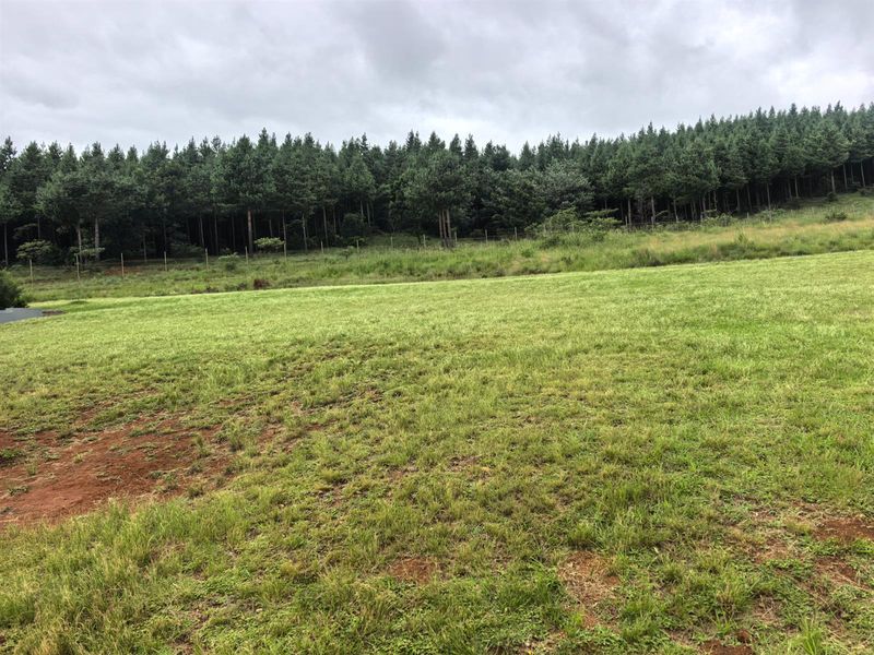 A spacious, level residential plot featuring a well-maintained grass lawn and a scenic backdrop of mature pine trees with perimeter fencing.